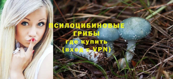 apvp Беломорск