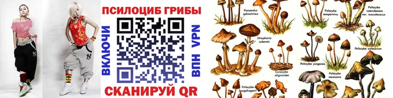 Псилоцибиновые грибы Psilocybine cubensis blacksprut маркетплейс Ворсма